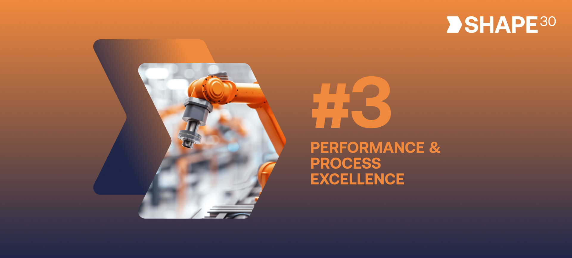 Performance & process excellence