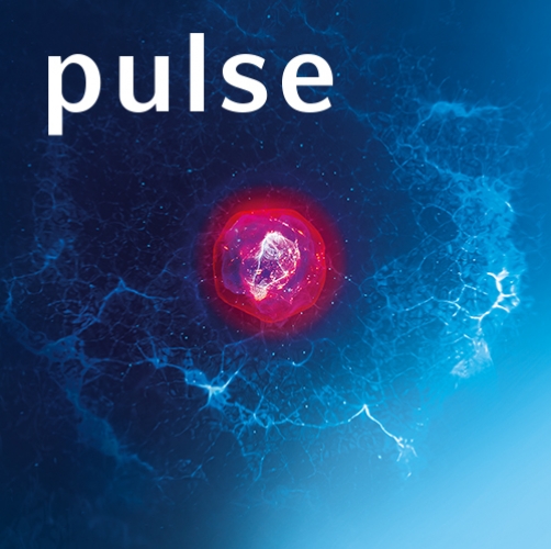 Magazin "Pulse" 2021
